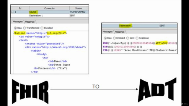 Introduction to FHIR – Screenshot 3