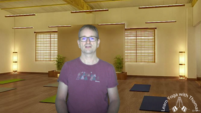 Yoga Fundamentals – For healthy posture and alignment – Screenshot 3