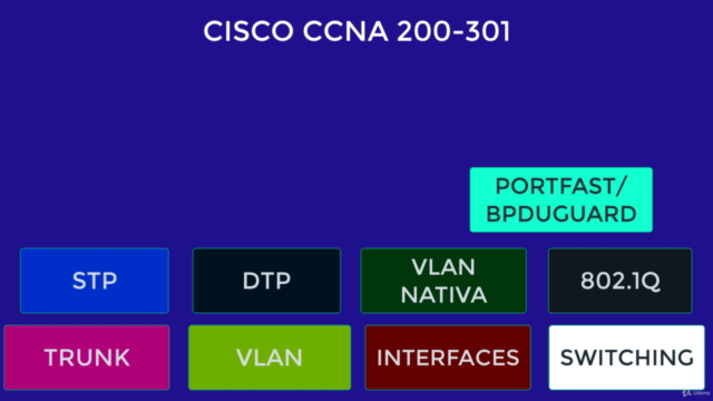 CCNA 200-301 - Tecnologías LAN Switching y VLANs – Screenshot 3