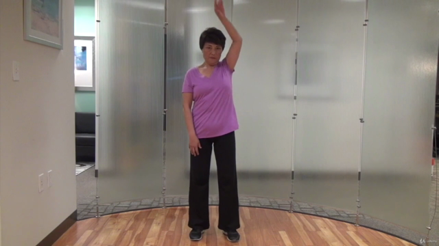 Qi Gong Instructor Training - Level I (Part 1 of 2) – Screenshot 1