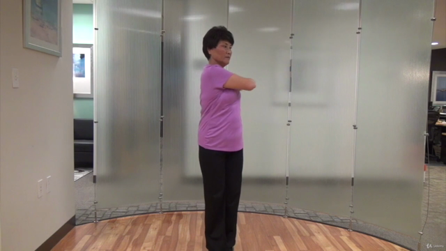 Qi Gong Instructor Training - Level I (Part 1 of 2) – Screenshot 2