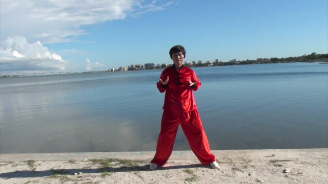Qi Gong Instructor Training - Level I (Part 1 of 2) – Screenshot 4