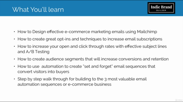 MailChimp for Ecommerce Email Marketing Master Class – Screenshot 2