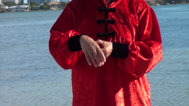 Qi Gong Instructor Training - Level I (Part 2 of 2) – Screenshot 2