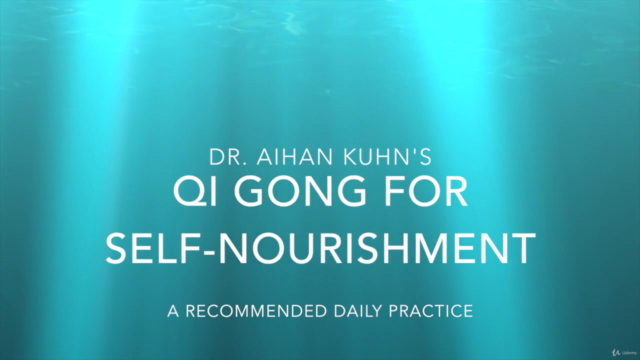 Qi Gong Instructor Training - Level I (Part 2 of 2) – Screenshot 3