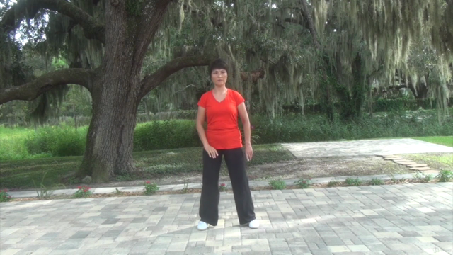 Tai Chi Instructor Training Certification Course Part 1/3 – Screenshot 1