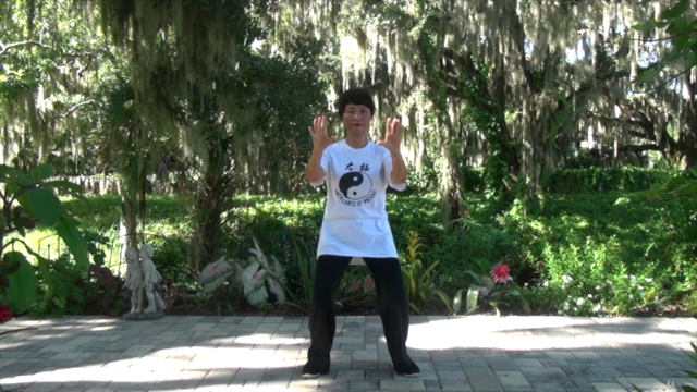 Tai Chi Instructor Training Certification Course Part 1/3 – Screenshot 2