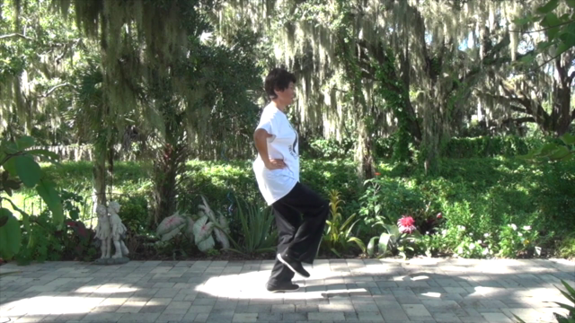 Tai Chi Instructor Training Certification Course Part 1/3 – Screenshot 3
