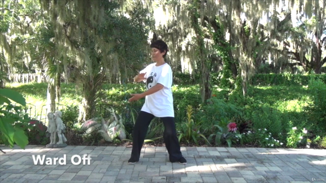 Tai Chi Instructor Training Certification Course Part 1/3 – Screenshot 4