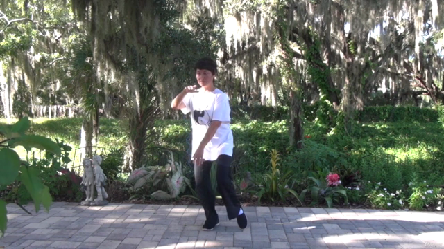 Tai Chi Instructor Training Certification Course Part 2/3 – Screenshot 1