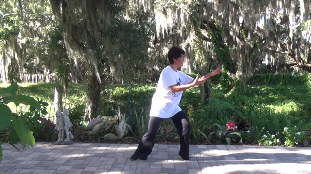 Tai Chi Instructor Training Certification Course Part 2/3 – Screenshot 2