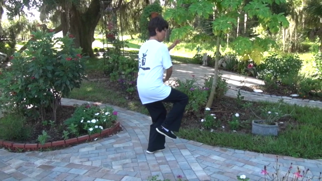 Tai Chi Instructor Training Certification Course Part 2/3 – Screenshot 3