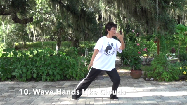 Tai Chi Instructor Training Certification Course Part 2/3 – Screenshot 4