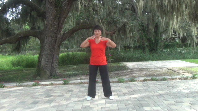 Tai Chi Instructor Training Certification Course Part 3/3 – Screenshot 1