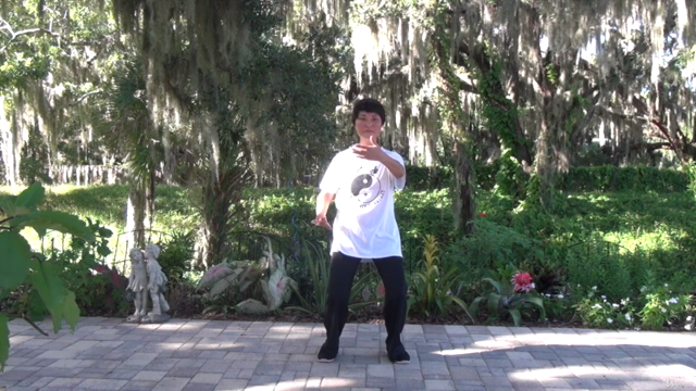 Tai Chi Instructor Training Certification Course Part 3/3 – Screenshot 2