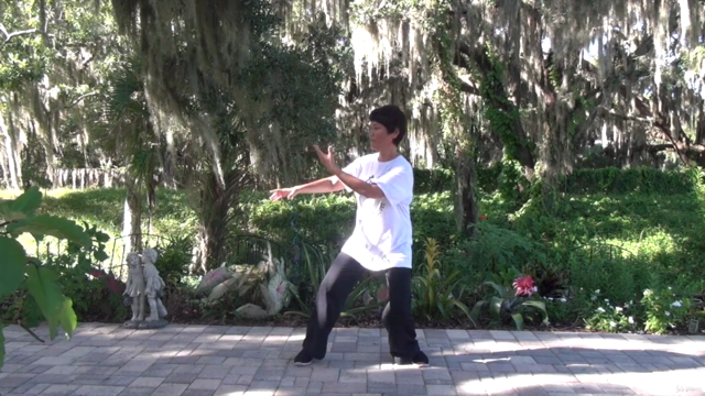 Tai Chi Instructor Training Certification Course Part 3/3 – Screenshot 3