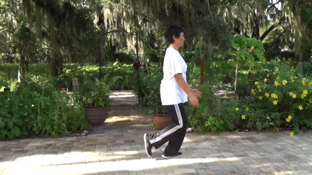 Tai Chi Instructor Training Certification Course Part 3/3 – Screenshot 4