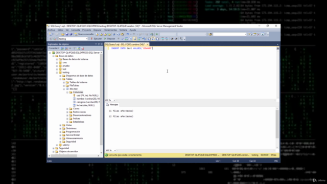 Microsoft SQL Server para Principiantes – Screenshot 2