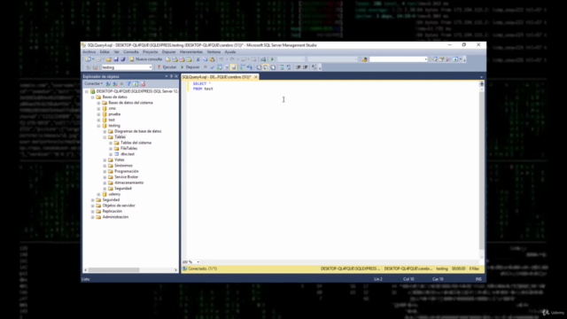 Microsoft SQL Server para Principiantes – Screenshot 3