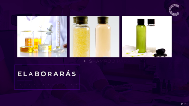 Curso de Shampoo Natural y Productos Capilares Online - Screenshot_02