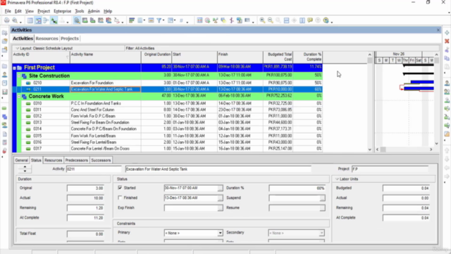 Primavera P6 Professional: Complete Project Management. – Screenshot 3