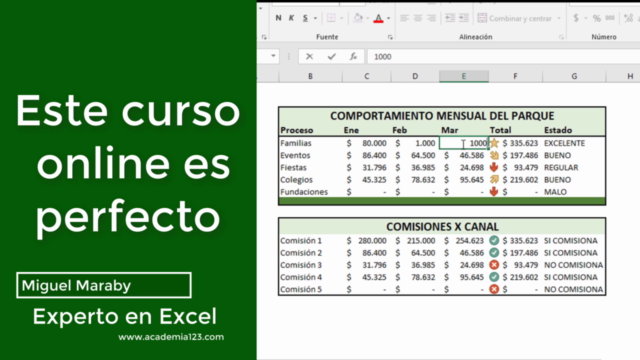 Excel Contable - Curso Profesional – Screenshot 1