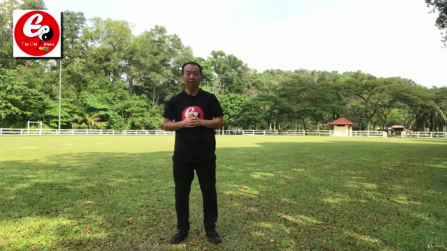 Tai Chi Chen Style 22 for Beginner-Strengthens Mind and Body - Screenshot_01