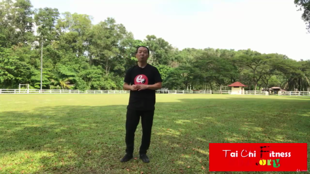 Tai Chi Chen Style 22 for Beginner-Strengthens Mind and Body - Screenshot_02