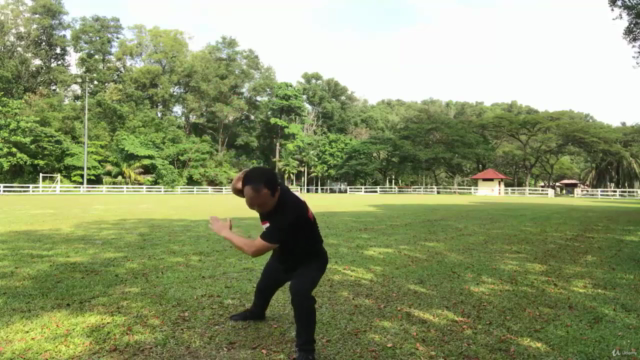 Tai Chi Chen Style 22 for Beginner-Strengthens Mind and Body - Screenshot_03