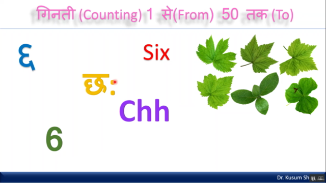 Learn Hindi Language (Read & Write) in English- Step By Step – Screenshot 1