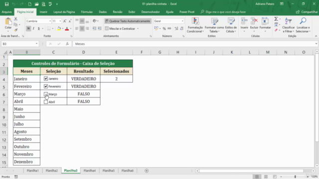 Curso de Excel Avançado - Relatórios Usando Controles – Screenshot 1