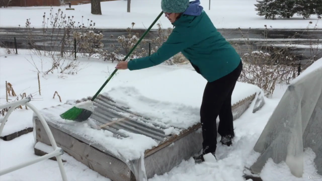 Harvesting Fresh Veggies in the Snow – Screenshot 1