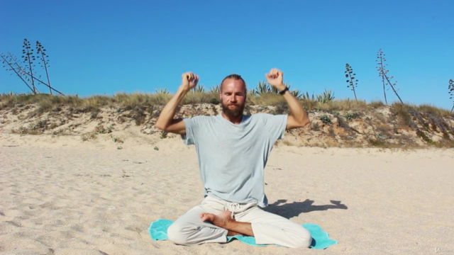 The Ultimate Pranayama, Bhandas & Meditation Course – Screenshot 3