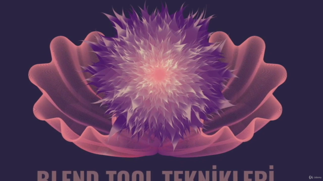 İleri Blend Tool ve Shape Builder Tool Teknikleri – Screenshot 2