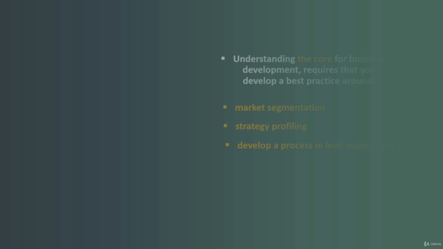 Business Development Strategies for Beginners – Screenshot 4