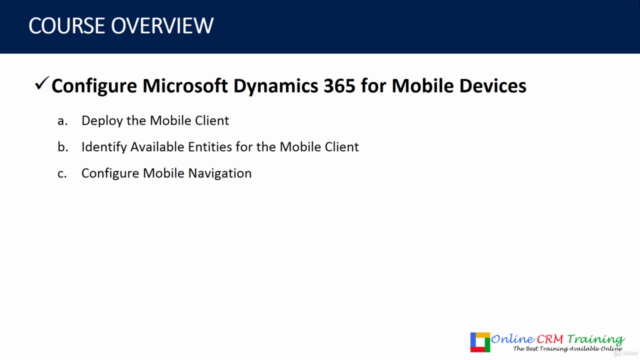 Master Dynamics 365 Solutions, Forms, Views & Visualizations – Screenshot 4