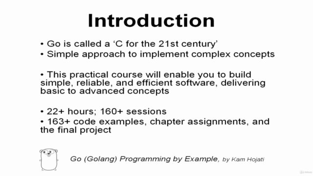 Go Programming by Example (Golang) – Screenshot 1