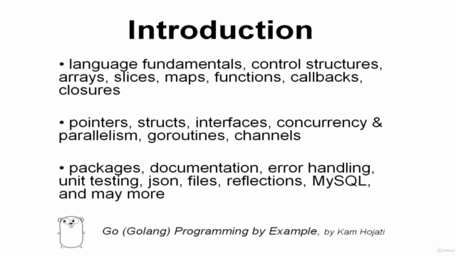 Go Programming by Example (Golang) – Screenshot 3