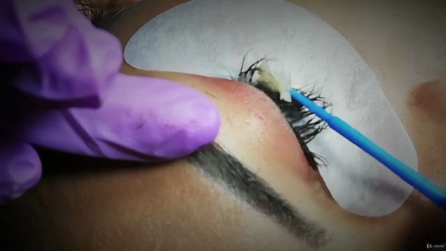 Curso Profesional de Extensiones de Pestañas Pelo a Pelo – Screenshot 2
