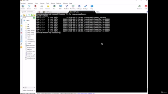 Mastering Apache SQOOP with Hadoop,Hive, MySQL (Mac & Win) – Screenshot 3