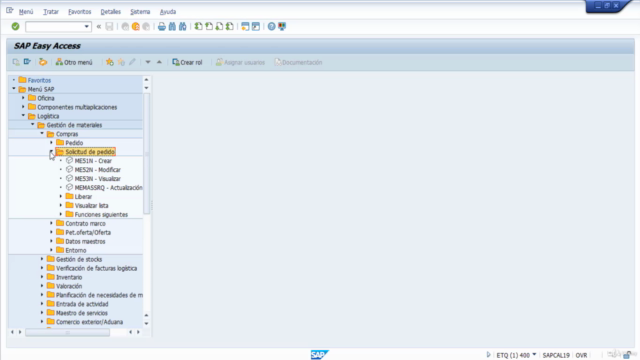 Curso Completo SAP MM Desde Cero – Screenshot 1