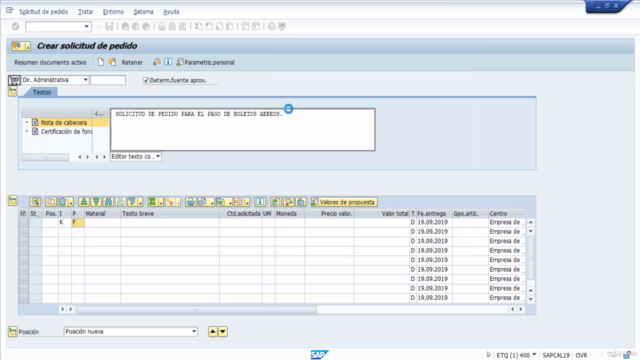 Curso Completo SAP MM Desde Cero – Screenshot 2