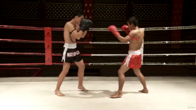 Muay Thai Defense and Counter Techniques – Screenshot 1