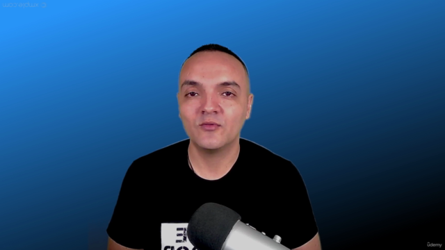 Fundamentos de la Gerencia de Proyectos – Screenshot 4