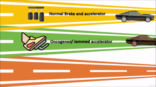 Recombinant DNA technology- a game changer in cancer biology – Screenshot 2
