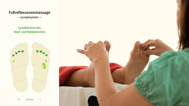 Fußreflexzonen-Massage (100% Digital-Ausbildung) – Screenshot 4