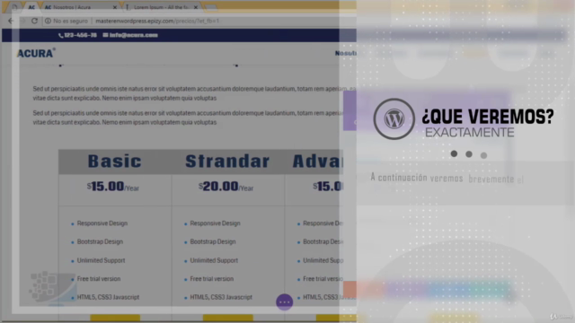 Master en Divi – Screenshot 2