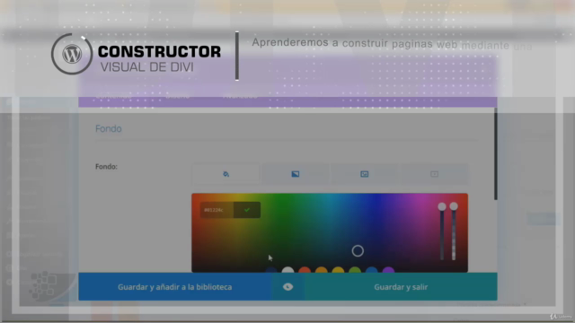Master en Divi – Screenshot 3