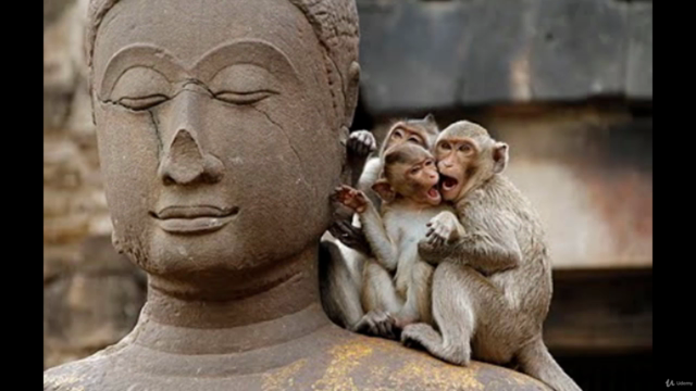 MEDITATION : easy tools and practical advice for daily Life – Screenshot 4