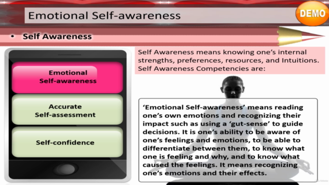 Introduction to Emotional Intelligence – Screenshot 4